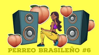 PERREO BRASILEÑO 6  - DJ DEIVID