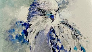 видео: Как нарисовать сокола | Акварельное искусство птиц картинка: Как нарисовать сокола | Акварельное искусство птиц