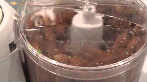 Polymer Clay Food Processor Blending & Conditioning Technique