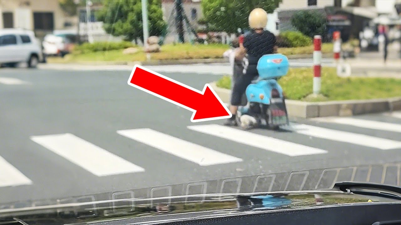 На светофоре я увидел, как щенок залез под машину...