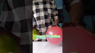 Orange vs balloon experiment 🍊🎈#shorts #experiements