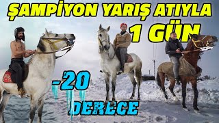 Rahvan Yarış Atına Ters Binmek! | Kars'ın Şampiyon Yarış Atlarıyla Bir Gün Geçirdik!