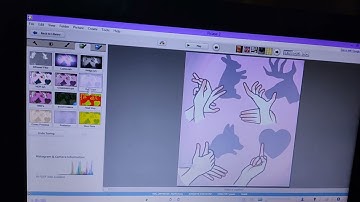 Download Picasa Photo Viewer and Editor