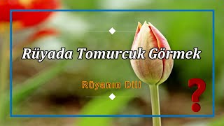 RÜYADA TOMURCUK GÖRMEK (rüya tabiri)