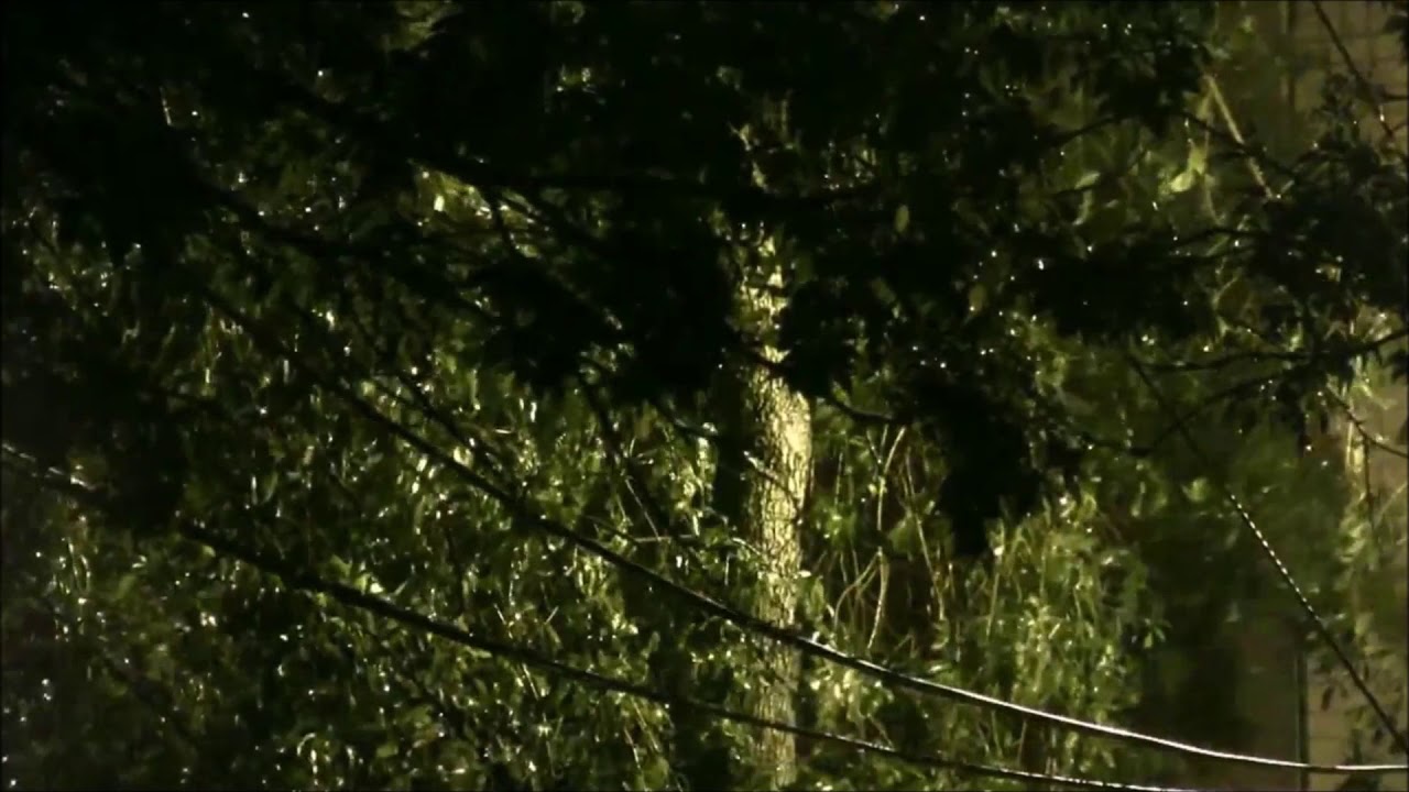 МИР МУЗЫКИ – Аве Мария – Робертино Лоретти – Memento Patriae - YouTube