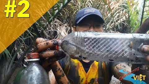 [Quê Hương Việt] Bí quyết đặt bẫy bắt cá thòi lòi bằng chai nước ngọt rất bá đạo