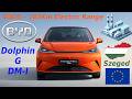 BYD Dolphin G DM-I Plug-in Hybrid King