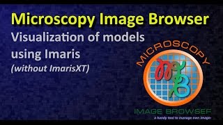 MIB: how to move data between MIB and Imaris without using ImarisXT