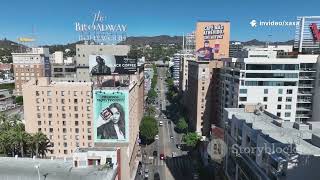 Celebrity Discover the Top 10 walkable U.S. cities where you truly won’t need a car Net Worth