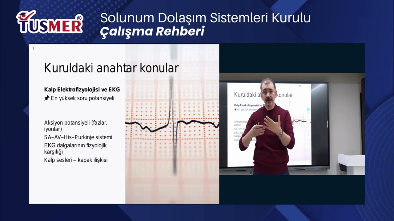 Solunum Dolaşım Sistemleri Kurulu - Kapsamlı Çalışma Rehberi