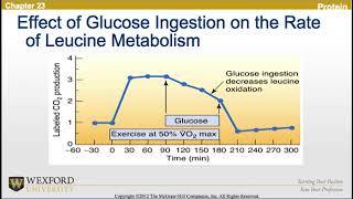 Nutrition, Body Composition and Sports Performance