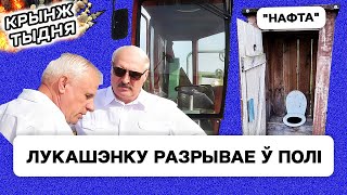 Лукашенко бесится в поле — его довели за сбор камней. 