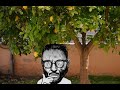 Baity Bait - Lemon Tree (IA Cover Español)
