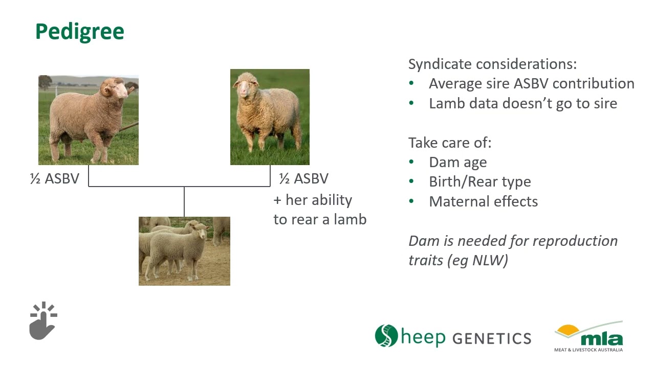 New member workshop recording