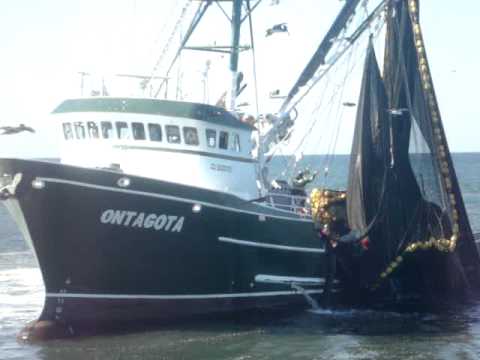 Autos En Venta >> BARCO SARDINERO "ONTAGOTA" - YouTube Autos En Venta >> BARCO SARDINERO "ONTAGOTA" - YouTube