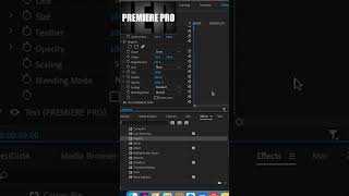 Magnify Text Animation   Magnify Animation   Adobe Premiere Pro Tutorial