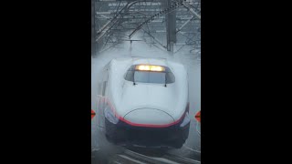 #Shorts E2系J編成+E3系L編成 雨の中を高速通過!!