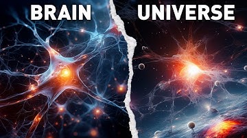 Is the Cosmos a Giant Neural Network? Brain vs. Universe