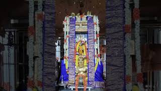 #rayaru #raghavendraswamy #mantralaya #today #darshan 5/5/26 🙏🙏