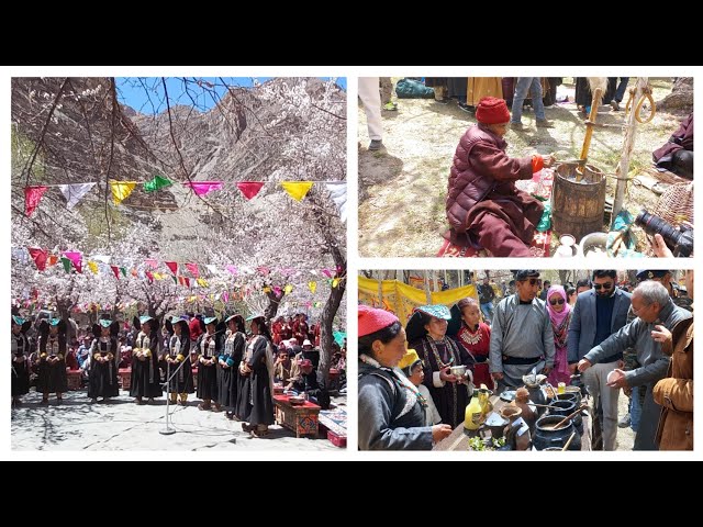 Apricot Blossom Festival at Lehdo village (Part-1) class=