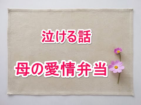 泣ける話　～母の愛情弁当