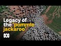 London to Australia: Living the legacy of a 'pommie jackaroo' 🤠🇬🇧 | Landlife | ABC Australia