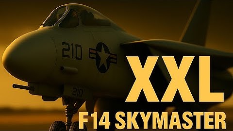 Grumman F-14 Tomcat Skymaster 1:5.5 XXL - Giant RC Jet! 