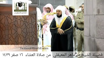 تلاوة فضيلة الشيخ ماهر المعيقلي من صلاة العشاء ١٦ صفر ١٤٣٩ هـ.