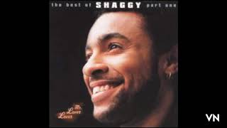 Shaggy - In The Summertime.