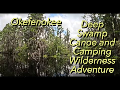 Paddling Okefenokee: Deep Swamp Canoe and Camping Wilderness Adventure