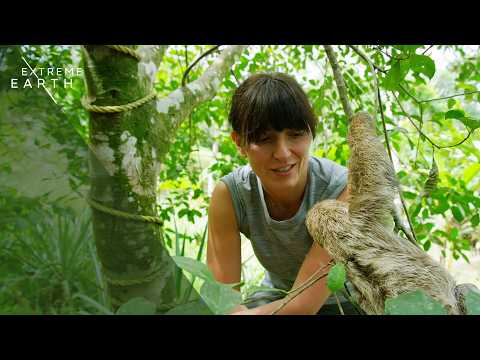 Earths Most Extreme Rainforest