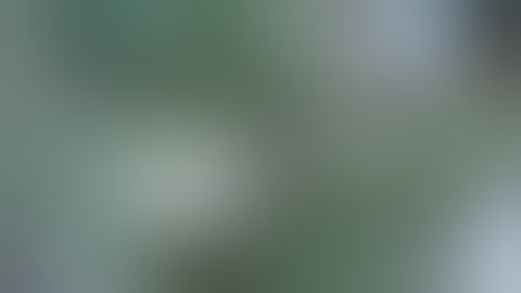 DWC hydroponic project update, one week in!!!