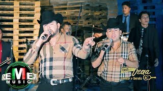 Hermanos Vega Jr. - Alineando cabrones (En Vivo)