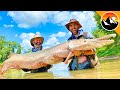 GIANT FISH CAUGHT - Real River Monster!