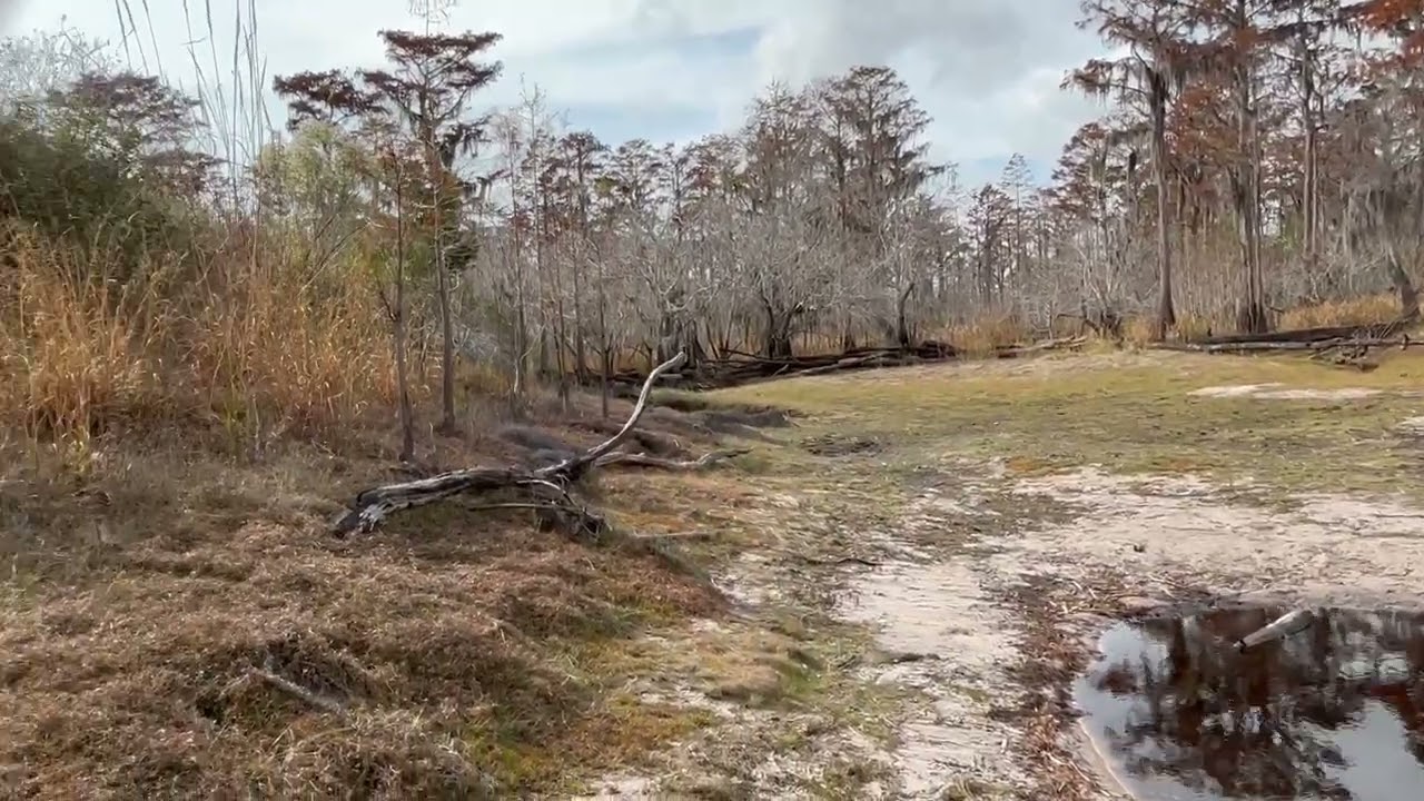 Third opening --Shirley Kokidko @ Suwannee River Sill 2025-11-26