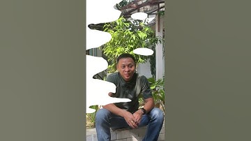 T model trong IT #r2s #code #svit #dev #trending #junior #freshers #senior