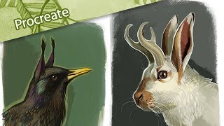 Two Timelapses in Procreate 🐇🦜Jackalope and Gryphon