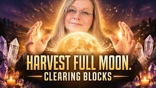 Harvest Full Moon Portal Activation. Cutting abundance blocks