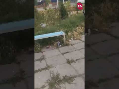 YouTube видео