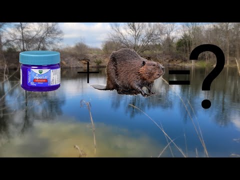 cutting back a fishing pole How to Spool New Fishing Line Onto a Reel Step-by-Step
