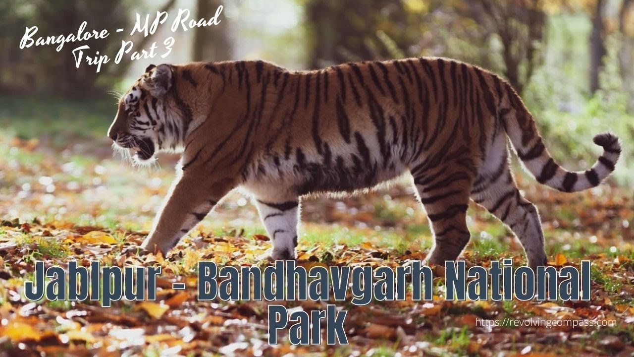 Jabalpur Airport To Bandhavgarh National Park www.youtube.com