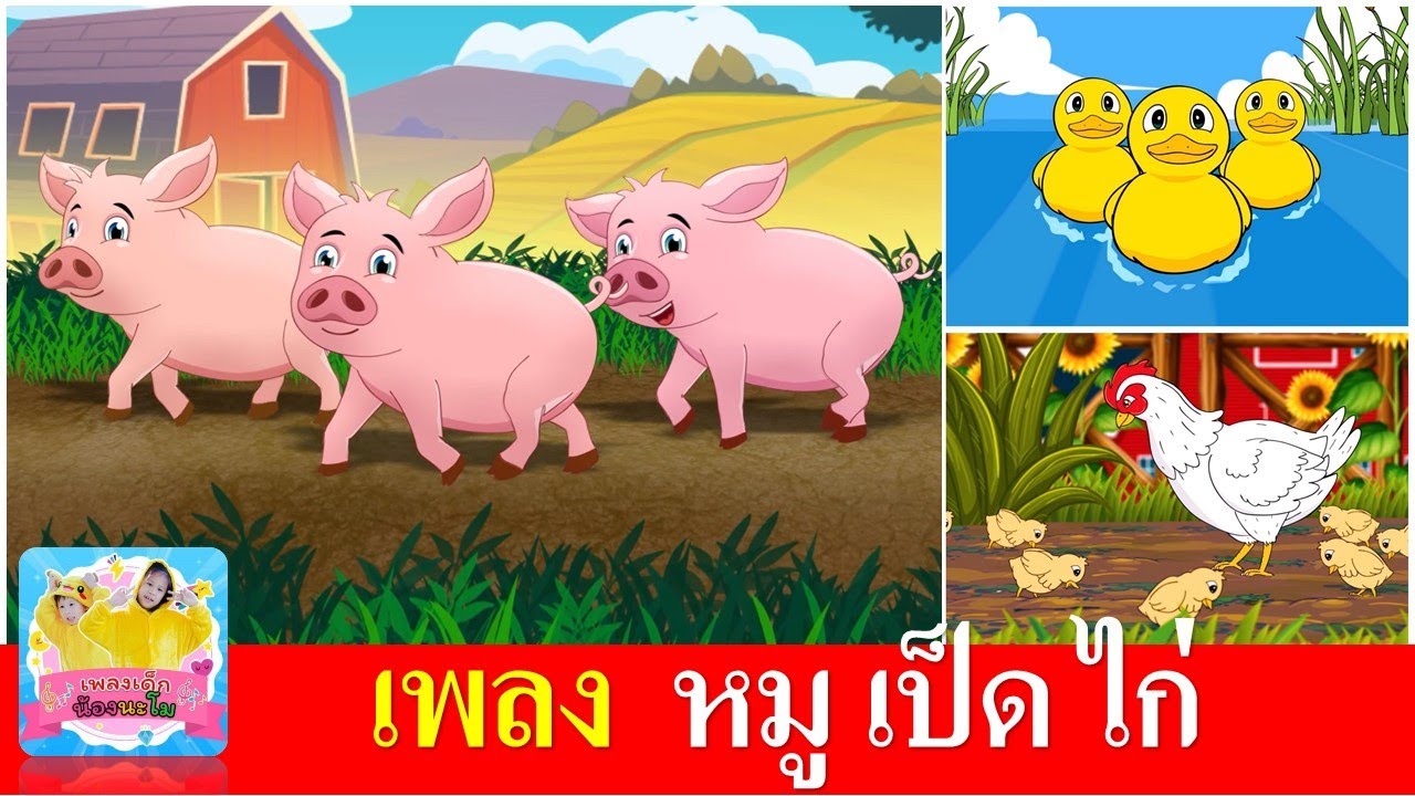 เพลงเด็ก สัตว์3ชนิด หมู เป็ด ไก่ | เพลงหมู | เพลงเป็ดก้าบก้าบ | เพลงไก่กุ๊กกุ๊กไก่