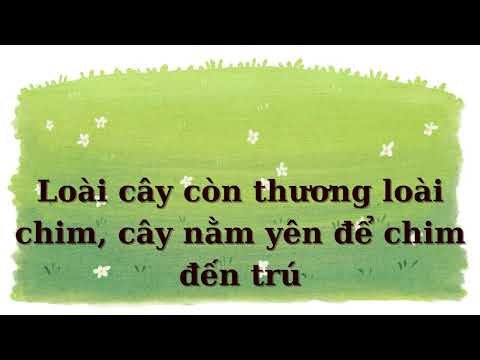 Tâm- Mer karaoke