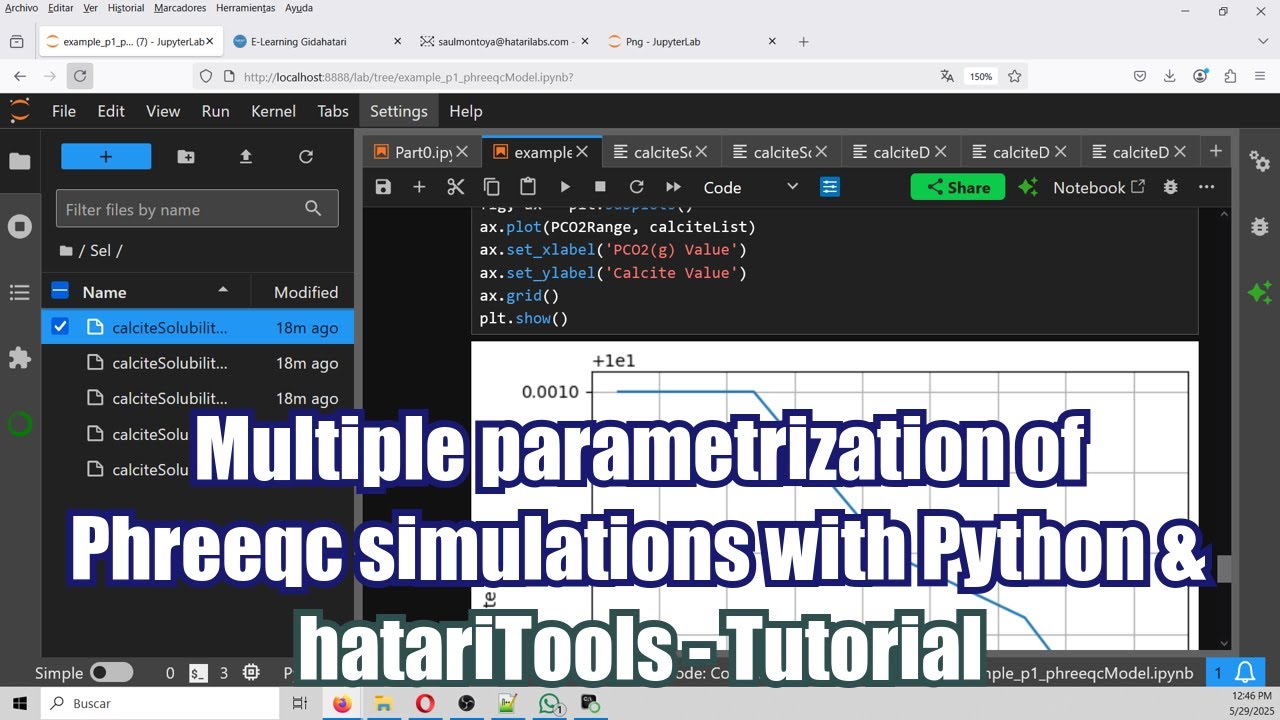 Multiple parametrization of Phreeqc simulations with Python and ...