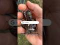 Is your feed buzzing with the sound of #cicadas?