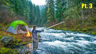 Fly Fishing and Camping on the River: The Fish That Almost Broke Me (steelhead fishing)