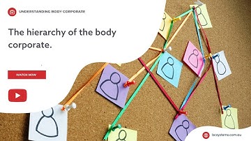 Understanding the hierarchy of the body corporate