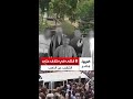 خلاف على التنقيب غير الشرعي عن الذهب ينتهي بمأساة دامية 8 قتلى في صحراء سفاجا
