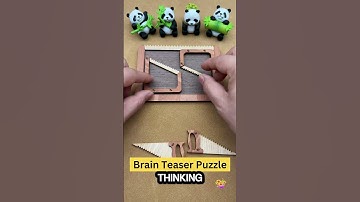 Brain Teaser Puzzle🤔 Can you fit all four saws into this platter?