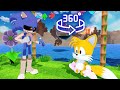 Sonic Vs Tails FNF Friends meeting Song 360° Animation